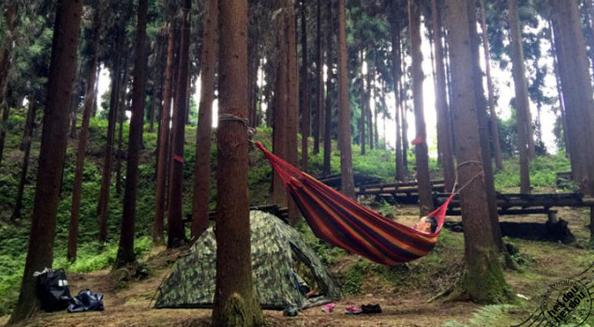 成都出发五一旅游景点推荐,成都旅游景点推荐排名前十名