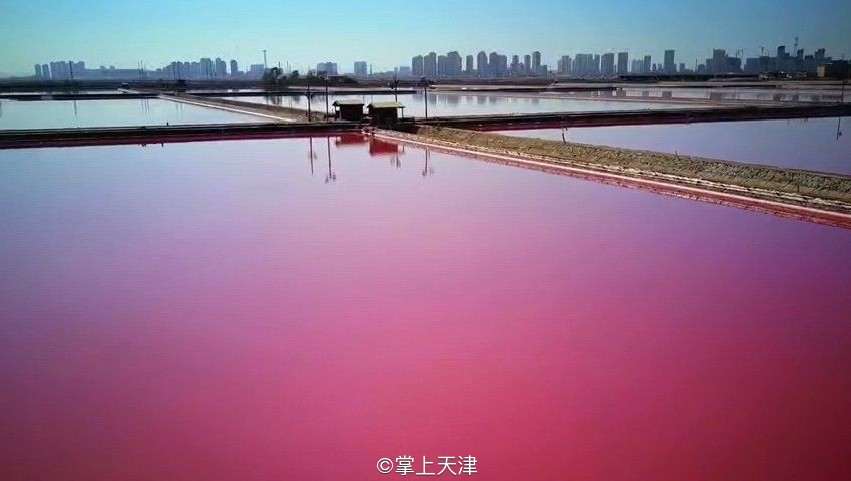 潍坊滨海七彩盐田,七彩盐田航拍