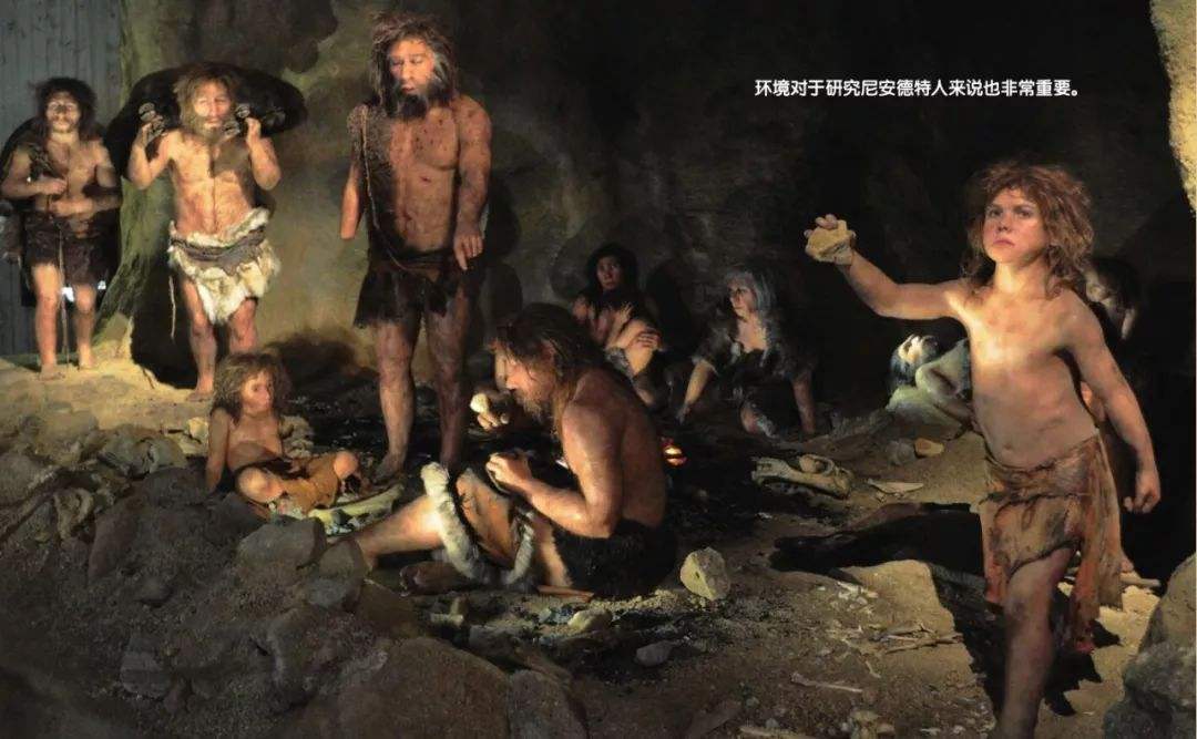 人类的生殖骨为什么退化了,人类为什么没有退化