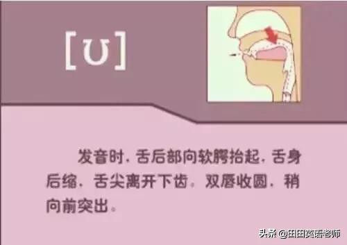 基础英语48个国际音标详解，赶紧来学习！