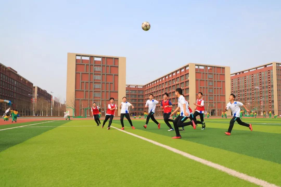2024年全国足球特点学校名单,河北最厉害的学校