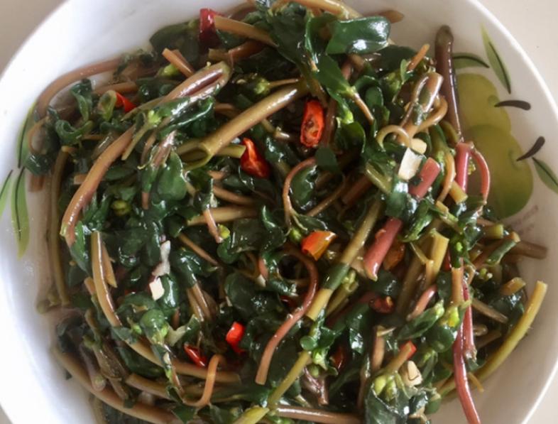 马齿苋炒着吃还是凉拌好吃,马齿苋又出新吃法不炒不凉拌