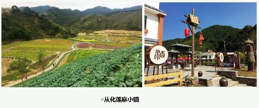 韶关云天海温泉推荐,韶关新丰云天海温泉酒店介绍