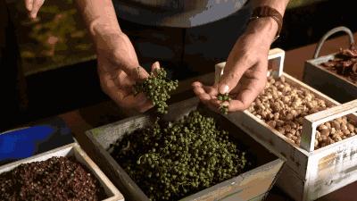 珠海美食一条街规划,中国珠海有个让人羡慕的海鲜街