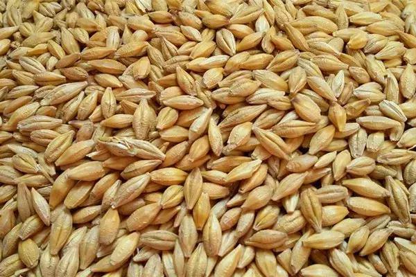 陕西琼锅糖哪里最好吃,琼锅糖制作全过程