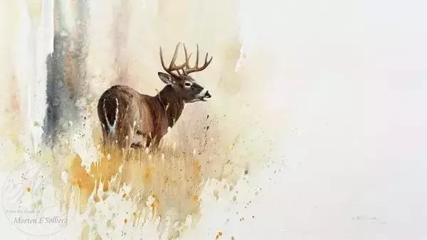 水彩大神之作,国外大师水彩值得一看