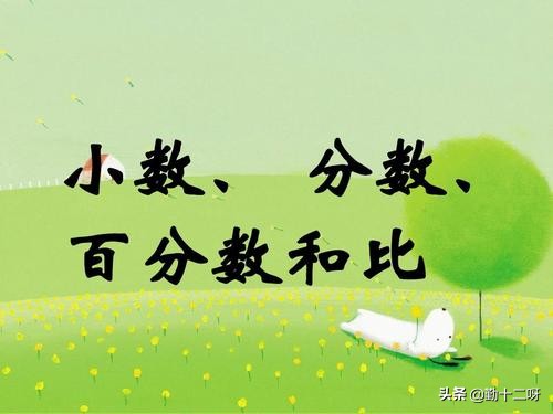 初一数学从自然数到有理数,初一数学负数和有理数练习