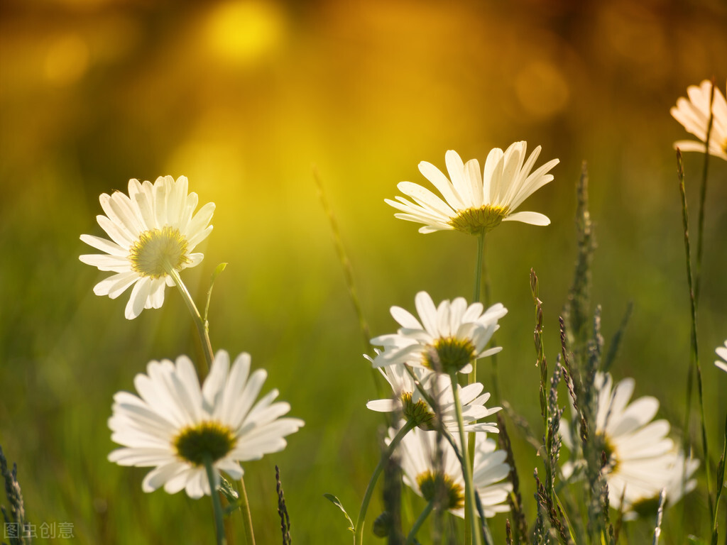 中考英语宾语从句命题讲解,中考英语复习宾语从句的三大考点