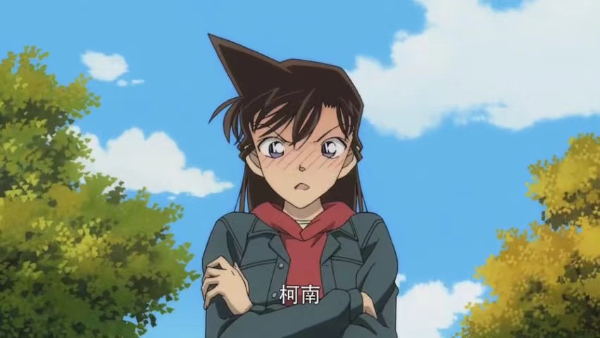 柯南看灰原哀穿毛线衣,毛利兰穿jk裙