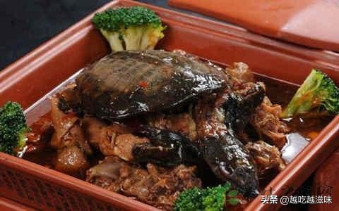 川湘菜特点经典菜系有哪些,湘菜最流行的经典菜是什么菜系的