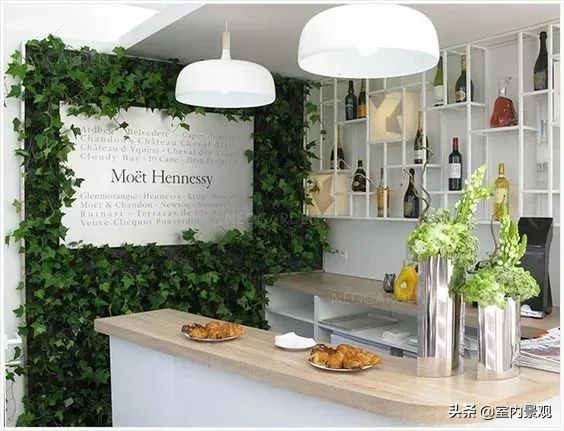 植物墙与永生植物墙不同,植物墙天然