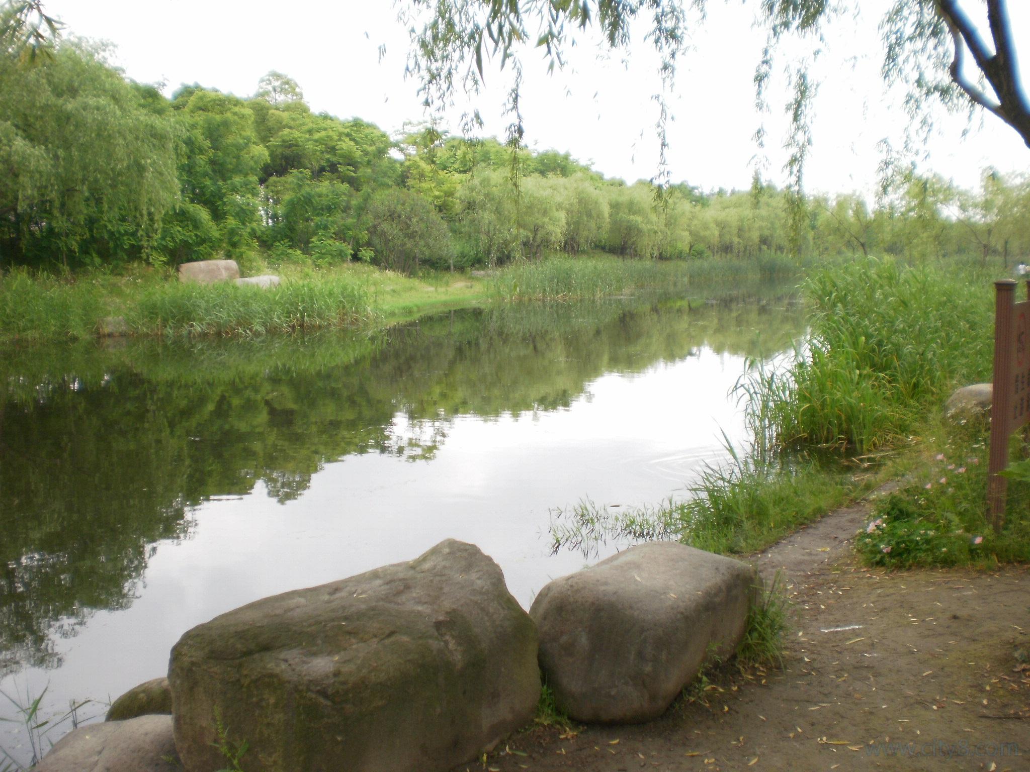 尘封往事重新开始,五角场广场和新江湾城