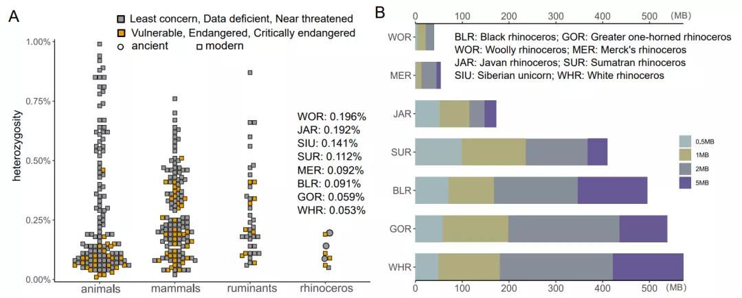 Cell|五万年前的DNA样品以及基因组大数据分析解析犀牛的演化历史