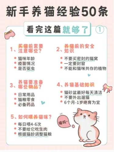 中华田园猫养猫经验,分享养猫经验的直播