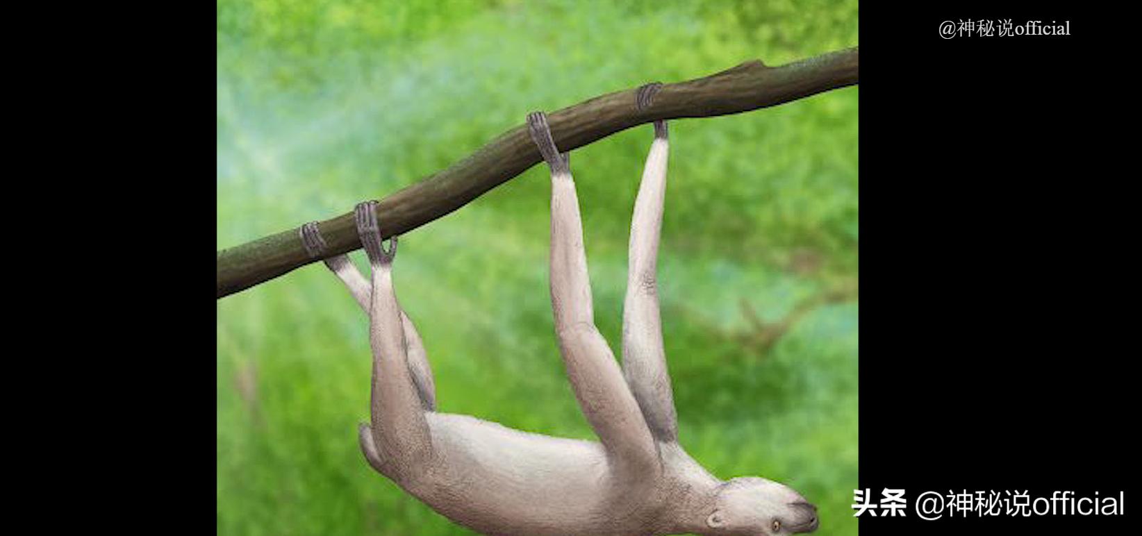 土耳其公布的“UFO视频”，外星人打开舱门移动，可信度有多少？