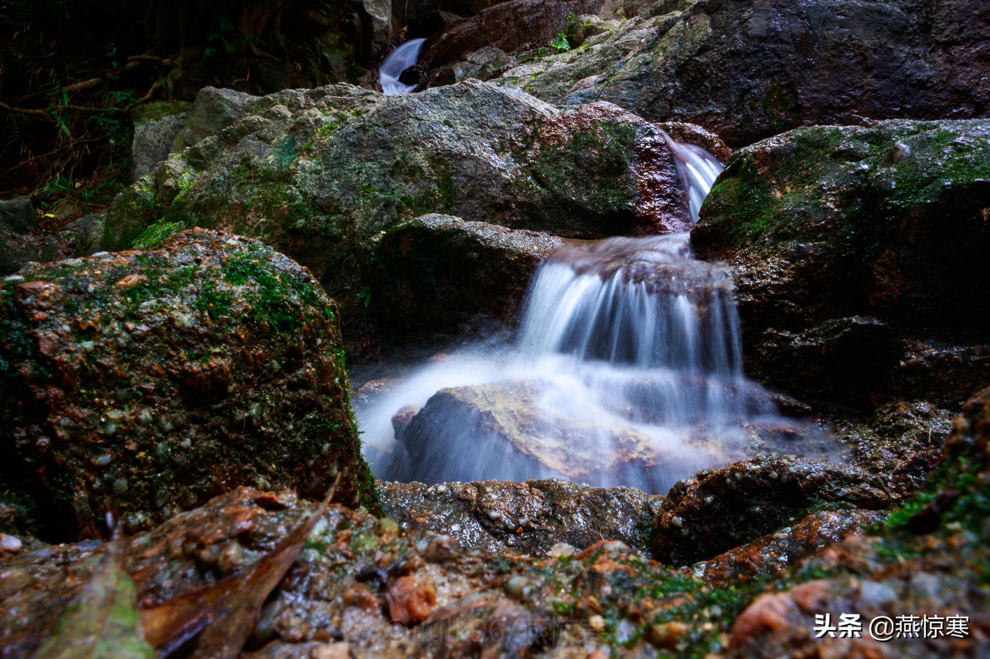 佳能rf24-702.8镜头,推荐几款佳能相机和镜头