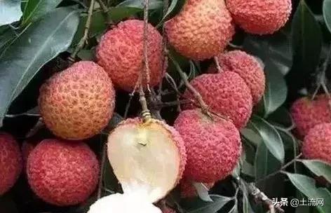 水果最新盈利模式,如何把低价水果销量上去并且赚钱