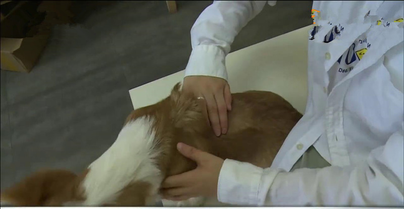 家里除螨虫最好的神器,螨虫清除神器是否能清除螨虫