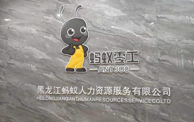 哈尔滨蚂蚁装饰有限公司,哈尔滨蚂蚁零工