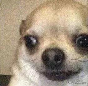 steam上深受外国人喜欢的国产游戏,国产游戏steam有好评如潮的游戏吗