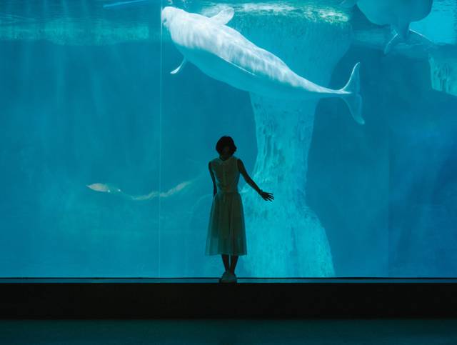 武汉必打卡排行榜,武汉十大打卡地