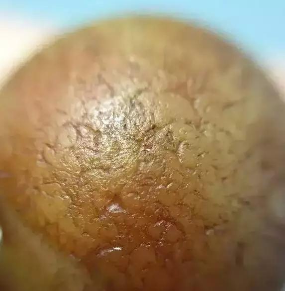 你的是不是老珠子，自己心里没点X数吗？