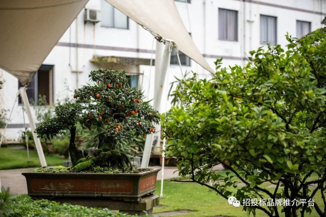 展成家居,展成家具