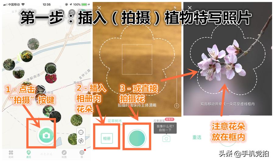 如何拍照识别花草植物,如何扫一扫快速识别花草