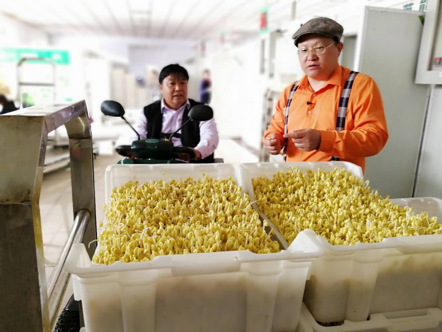 沂蒙残疾人发明豆芽机,民间牛人发明豆芽机400斤