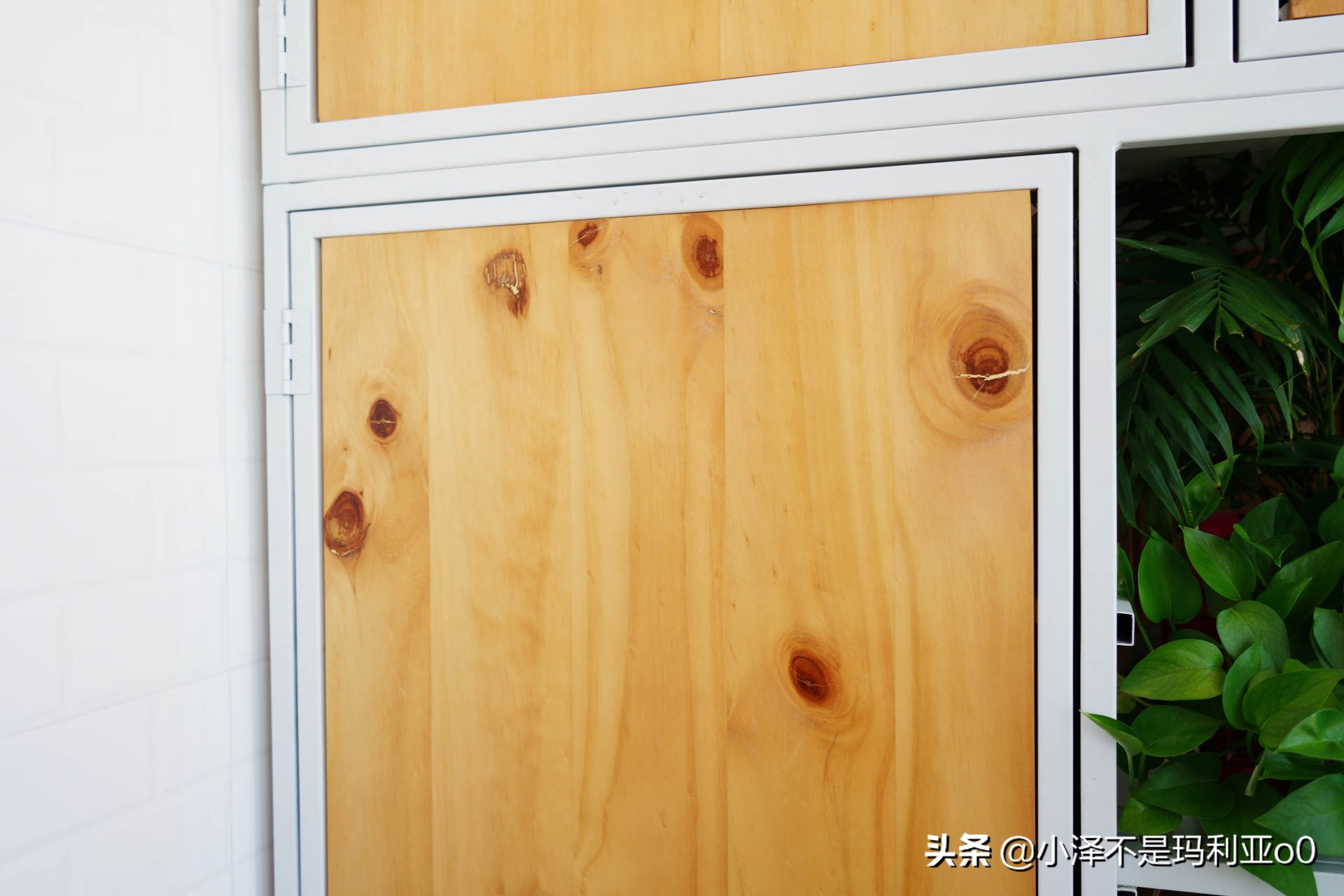 实木家具日常保养方法有哪些种类,家具科普实木家具保养之道