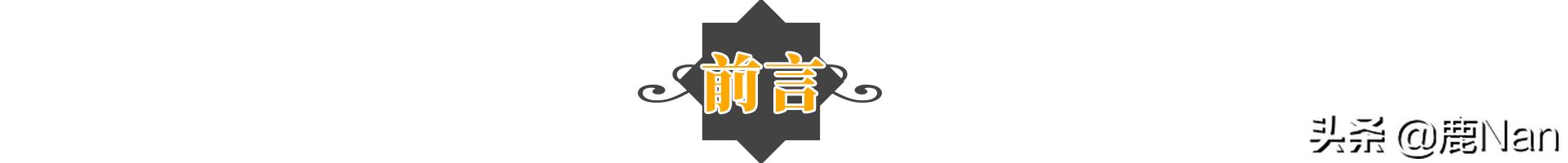 洪欣的个人简介,洪欣以前的情感史