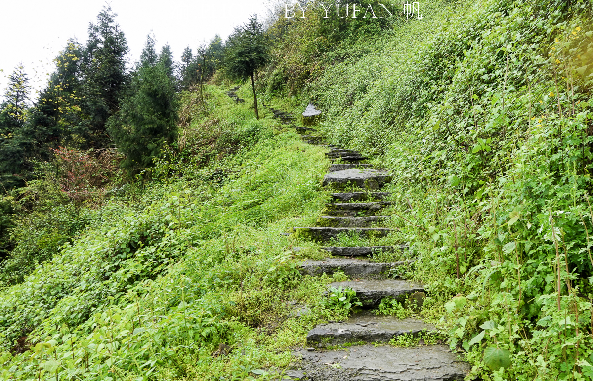 金佛山环山自驾,五一去金佛山最佳路线