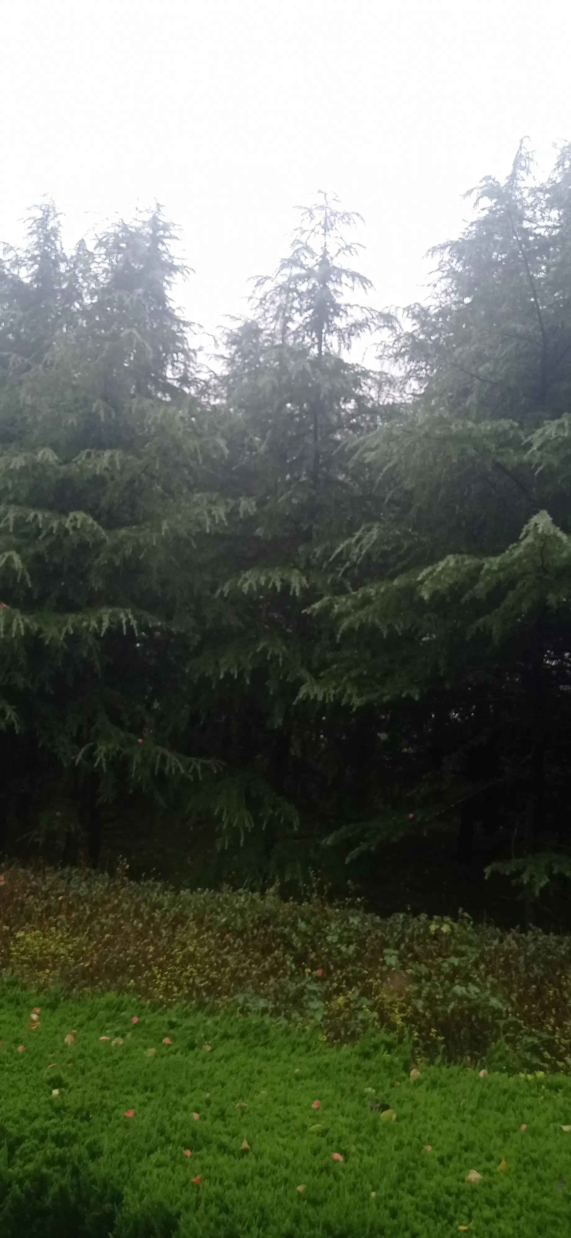 血小板聚集率正常范围,老年人血小板正常范围是多少