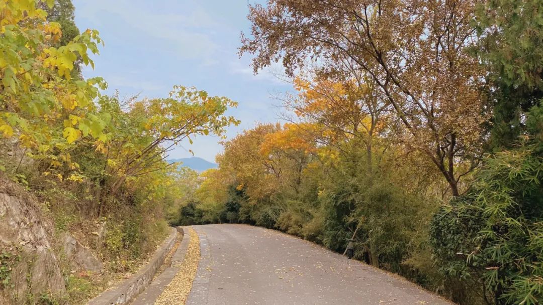 南京汤山青林社区皮划艇,南京汤山哪里可以玩皮划艇