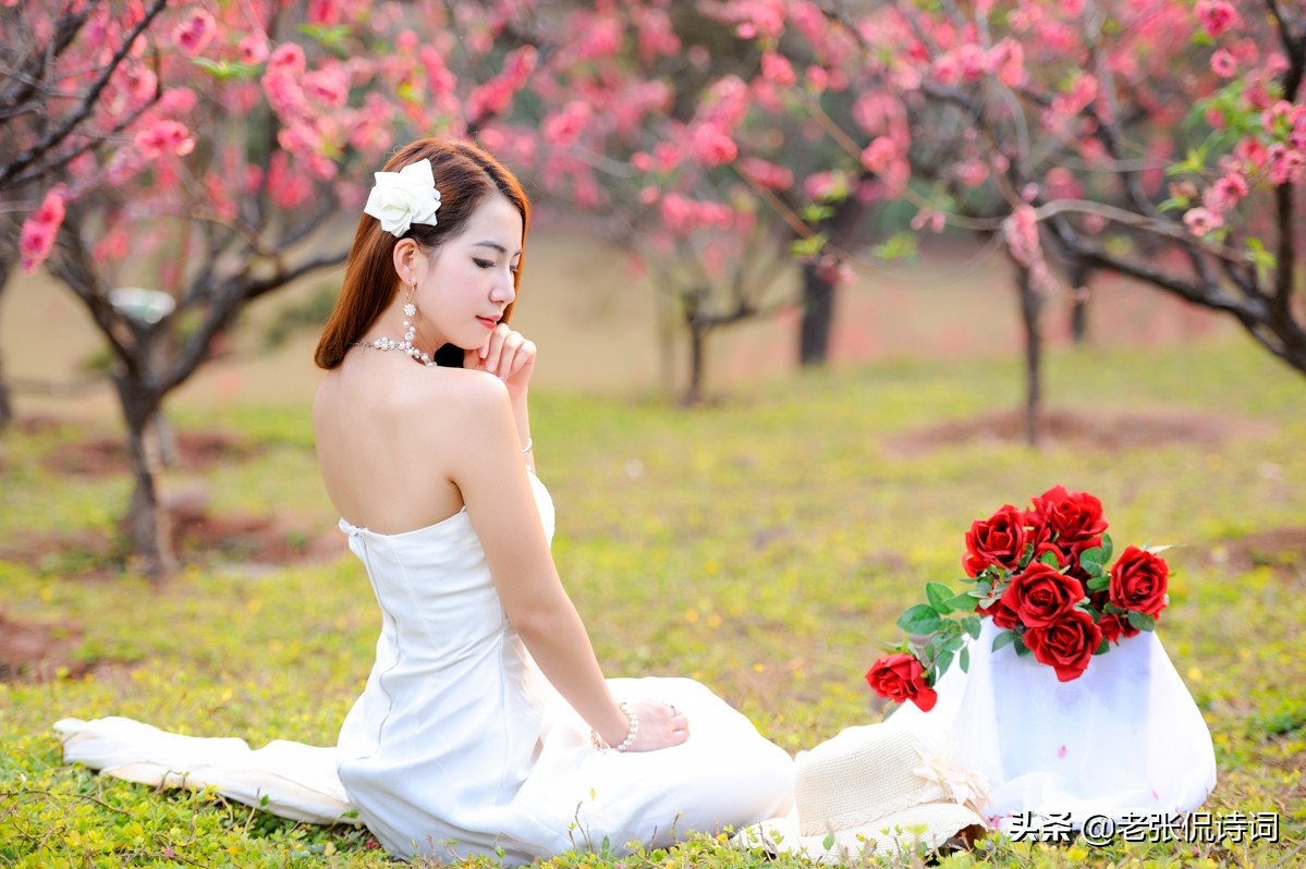 最美古诗词爱情句子,爱情的古风诗句山有木兮木有枝