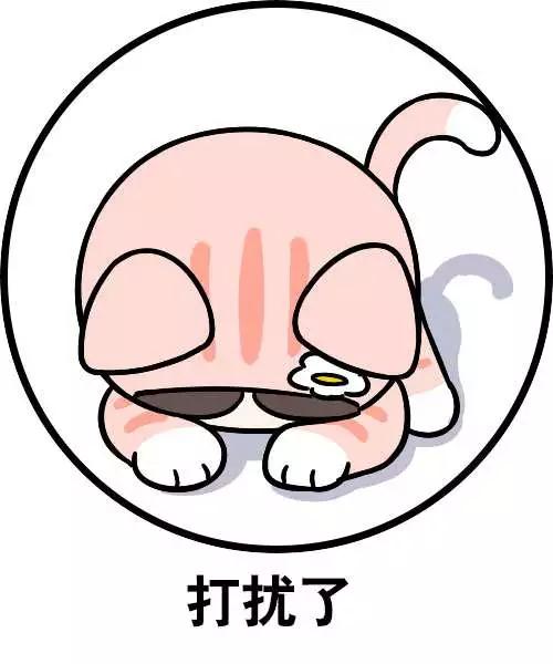 我花200块买了本弱智小说，据说能日入过万