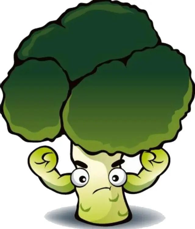 西兰花种子固体饮料的作用,西兰花种子水提取物功效