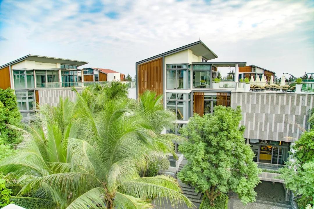 十年一梦清水湾，“第二人生”出发地