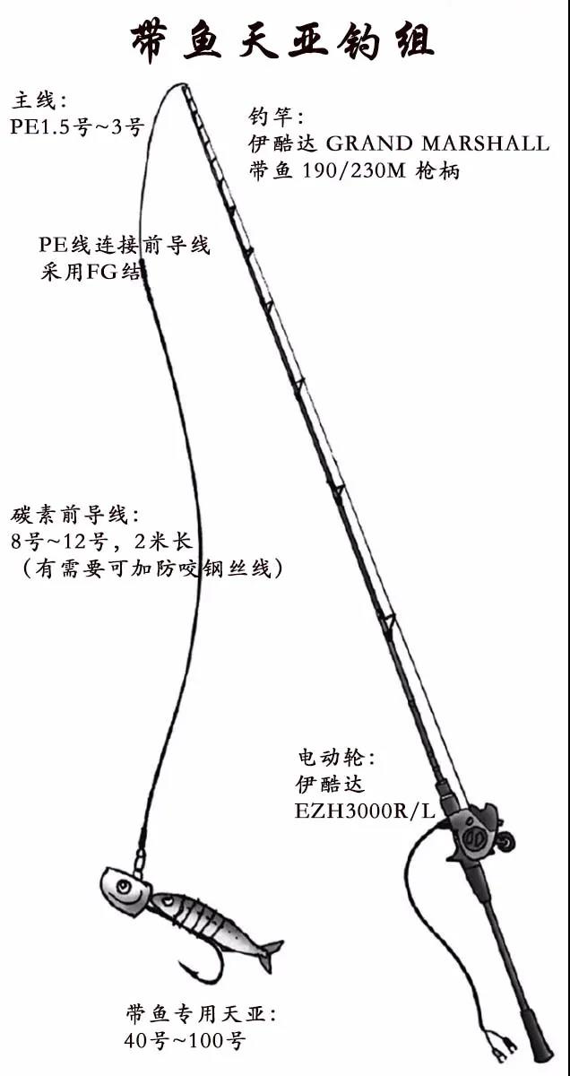 天亚夜钓带鱼技巧视频,天亚钩钓带鱼绝密配方