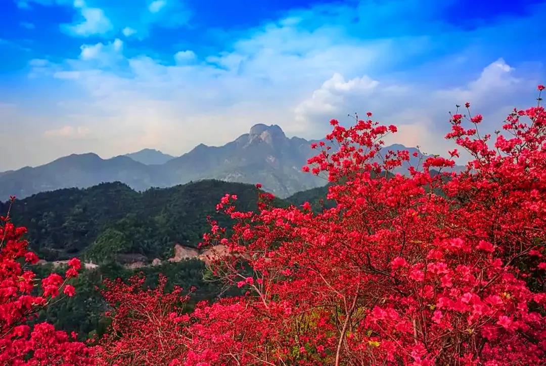大别山马丁公路路线详细介绍,最美公路马丁公路自驾游