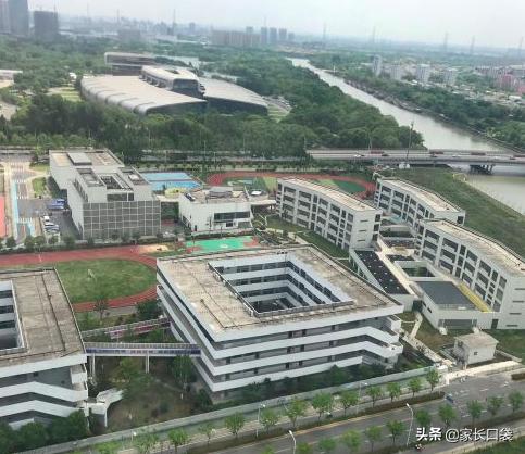 上海10所黑马初中,上海新晋初中黑马学校