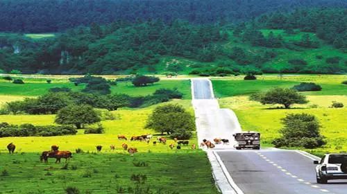 重庆五一冷门自驾,重庆出发自驾8日游攻略路线推荐