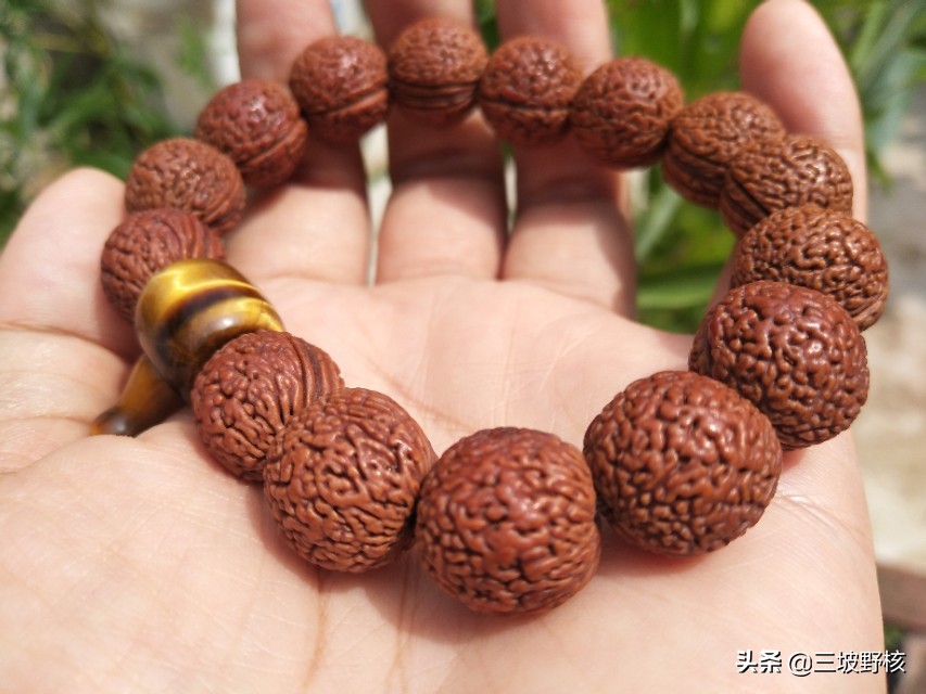 蚂蚁纹西瓜纹火焰纹,桃核蚂蚁纹和荔枝纹的区别