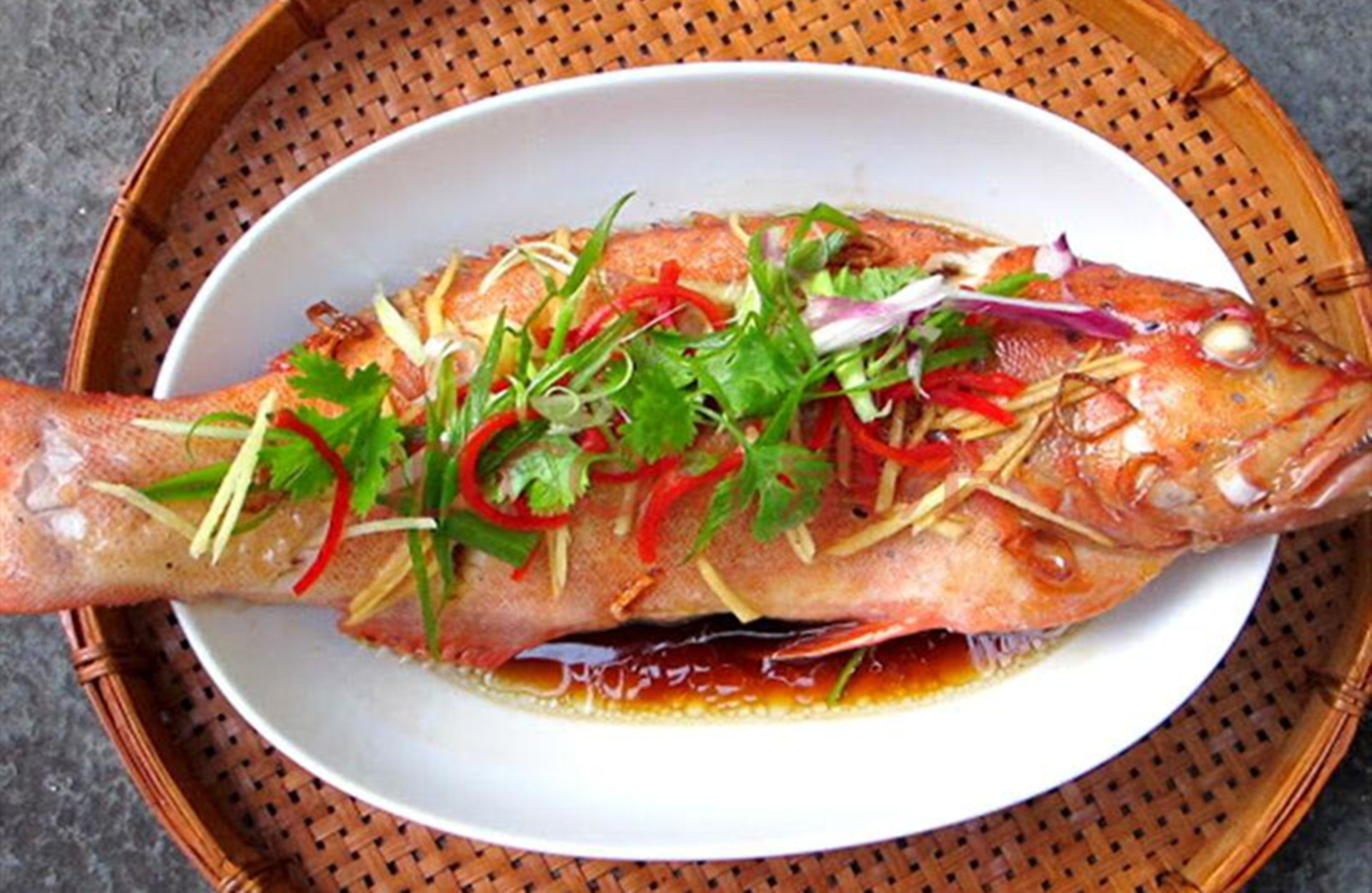 溪流石斑好钓点位置广东清远,小型水库钓溪石斑如何选钓点