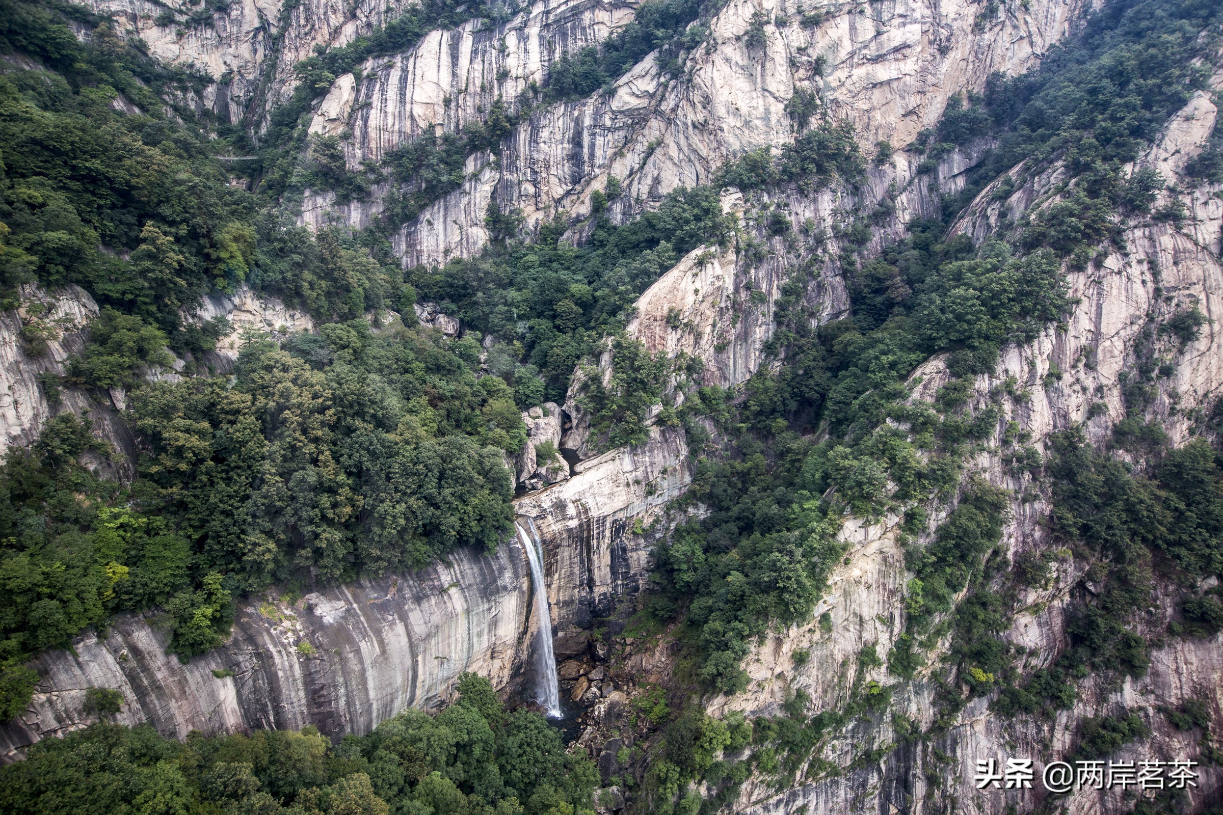 再看白云山，看山不是山，它是一本百读不厌的百科全书