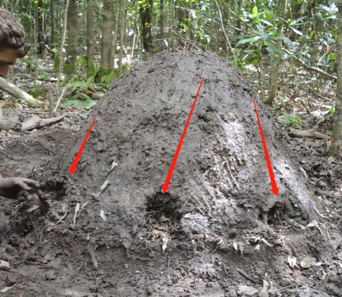 烧制木炭新技术,原始技术如何制作木炭