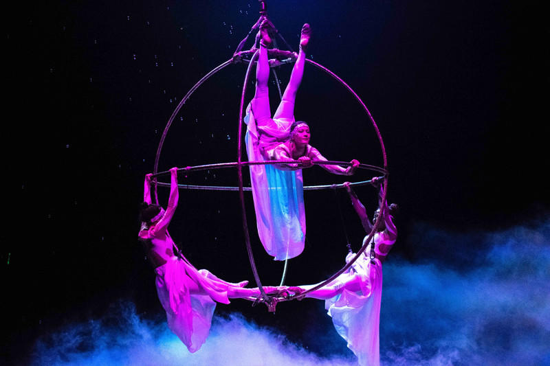 玩转广州长隆野生动物世界之行,广州长隆动物世界游玩攻略图