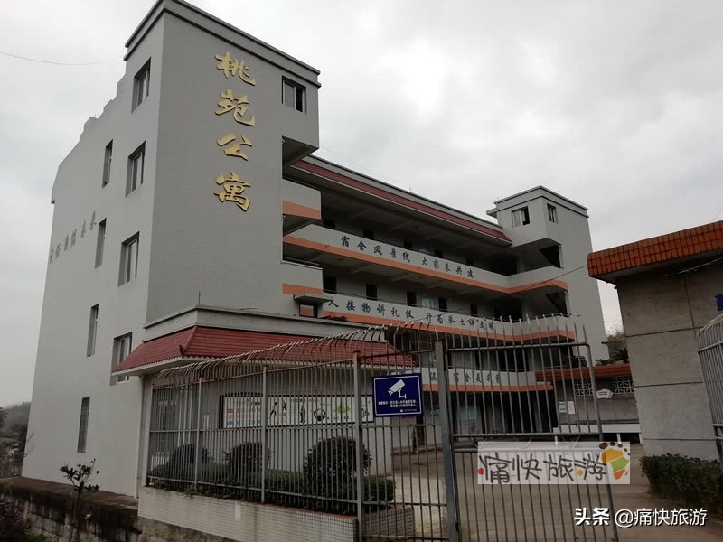 自贡桃花山学校,2014年自贡市桃花山学校