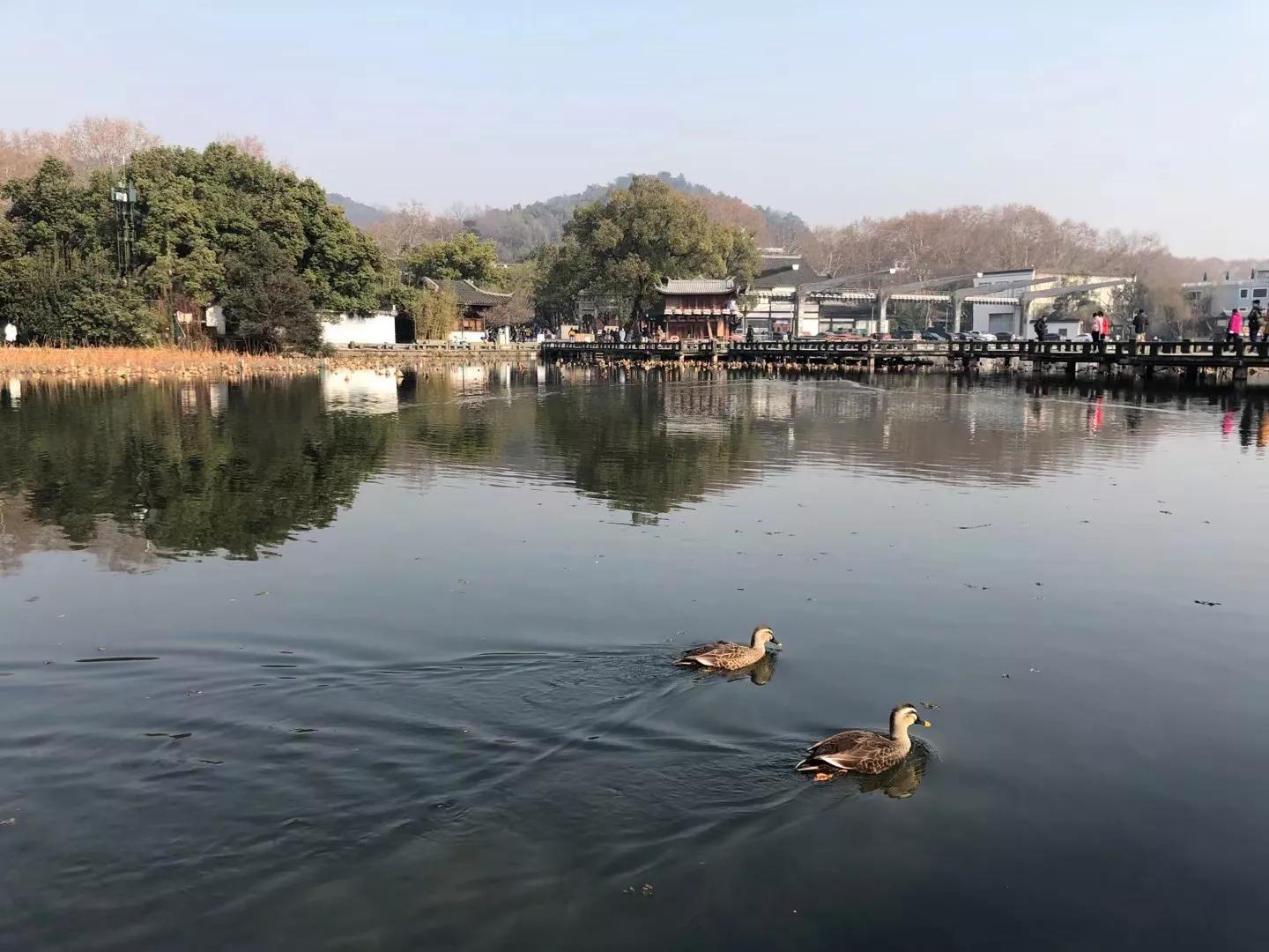 一枕寂寞，不道离别