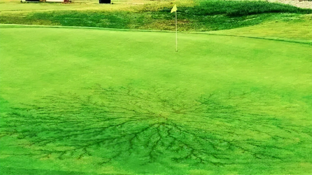 1998年刚果足球雷击视频,1998刚果球赛视频